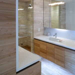 Optimized-WestVan3